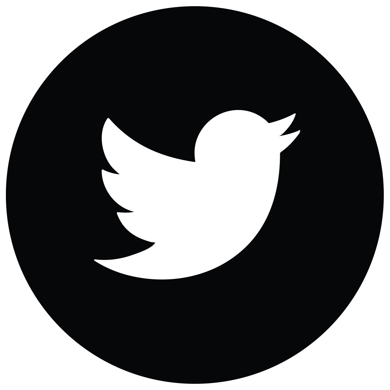 Twitter Icon